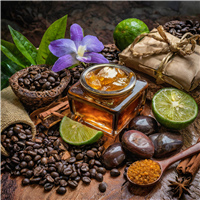 Hipster Fragrance Oil 15644